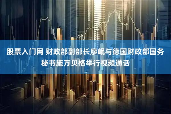 股票入门网 财政部副部长廖岷与德国财政部国务秘书施万贝格举行视频通话